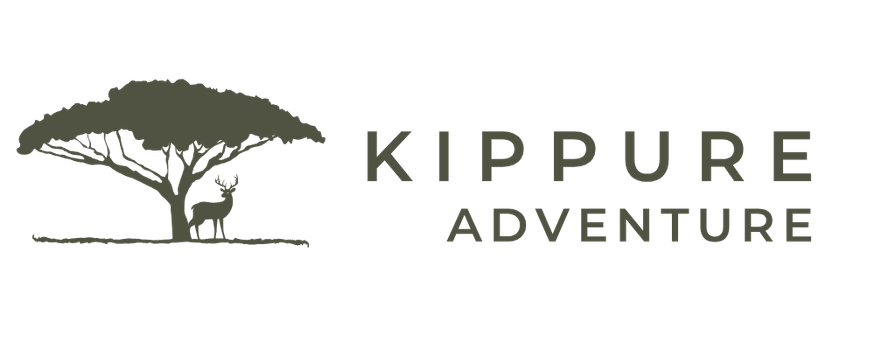 Kippure Adventure
